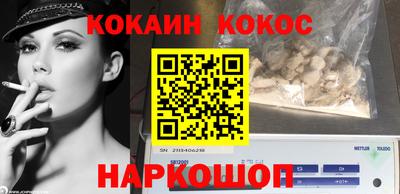 спиды Новодвинск