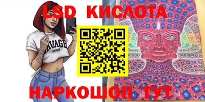 прущие крисы Новокубанск