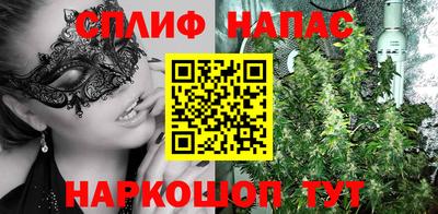 спиды Новодвинск
