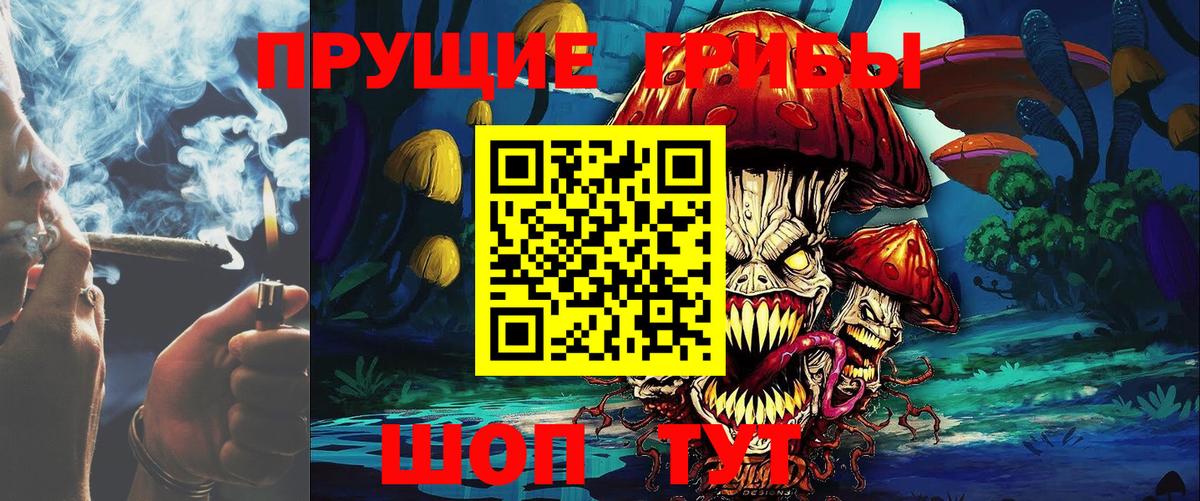 Псилоцибиновые грибы мицелий  Галлюциногенные грибы MAGIC MUSHROOMS  Северобайкальск  Вход с VPN 